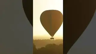 The Greatest Wildlife Show on Earth: Hot Air Balloon Safari over the Maasai Mara!