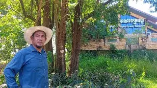 Shock - Reviving the House That Was Buried 6 Years Ago by Covid 19