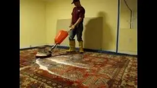 Rug Cleaning New Jersey NJ, NYC, Manhattan, Call 1-800-973-1598,  24 Hour Emergency Service