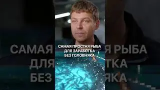 ЭТО самая простая рыба для заработка без головняка! #рыба #узв #заработок