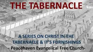 The Golden Lampstand Tabernacle Series (Ex 25:31-30)