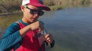 Guadalupe Bass caught by beginner angler
