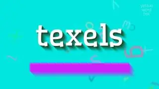 ТЕКСЕЛЫ &ndash; КАК СКАЗАТЬ ТЕКСЕЛЫ?  #текселы (TEXELS - HOW TO SAY TEXELS? #texels)