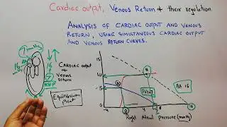 CVS 182 || Analysis of cardiac output curve and venous return curve combined | Right atrial pressure
