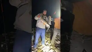 ANOTHER DOUBLE UP ON STREAM! #fishing #catfish #catfishing #bigfish #livestream #fishinglife #viral