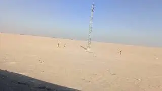 Views  of camping area of kuwait
