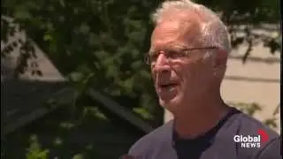 Global News: European Fire Ants