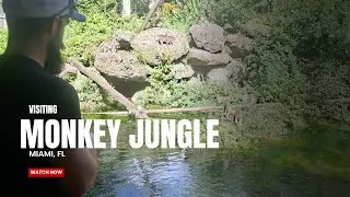 🐒 MONKEY 🐒 JUNGLE | Miami, FL