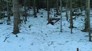 B&oslash;rs&aring;sen januar 2026