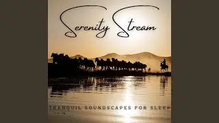 Stream's Gentle Caress