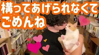 【DaiGo】構って欲しい猫とライブ配信中のメンタリストがイチャイチャ