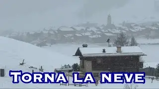 Livigno: nevica piano, ma finalmente tutto si imbianca ❄️