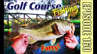 SAN ANTONIO BASS FISHING New Golf Course Honey Hole Ep 160