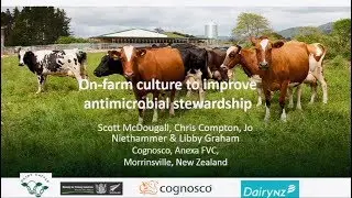 Use of on-farm bacterial culture and decision support tools to reduce antimicrobial usage...
