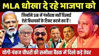 MLA ही भाजपा को धोखा दे रहे ? मिल गई कड़ी चेतावनी, कटेंगे टिकट । V N Bhatt, Omkar Chaudhary