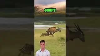**