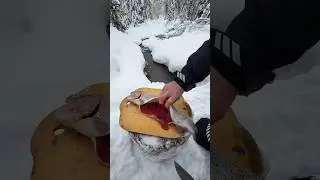 If You See This inside a Fish collect them 🦈😱