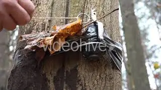 Military Booby Trap and Russian Hand Grenade | Stock Footage - Envato elements