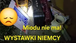 WYSTAWKI NIEMCY. Niestety kasy z tego nie będzie 😉