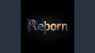 Komodo Dragons Reborn