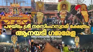 Anayadi Gajamela / Anayadi Pazhayidam Narasimha Swamy Temple / Kollam #anayadipooram #kollam 
