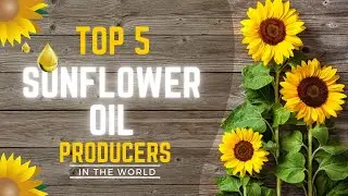 Top sunflower oil producing countries