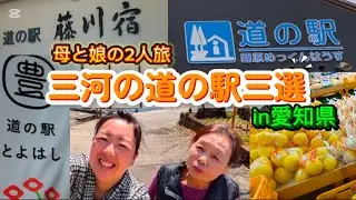 【愛知】三河の国の道の駅に行ってみた!グルメ・歴史・特産品の魅力を探る