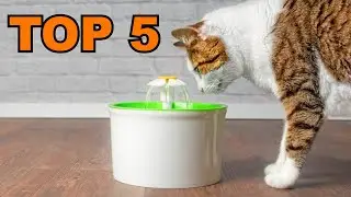 fontaine d'eau pour chat : TOP 5 des fontaines &agrave; eau pour chats &agrave; acheter en 2023 !