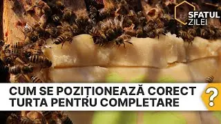 Cum se pozitioneaza corect turta pentru completare?