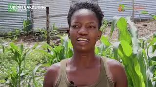 Scaling Up Nutrition In Namibia: Urban Gardening | Documentary