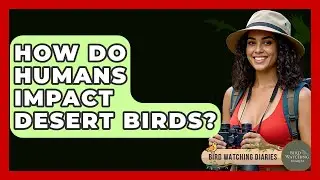 How Do Humans Impact Desert Birds? - Bird Watching Diaries