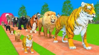 Long Slide Game With Elephant Gorilla Buffalo Hippopotamus Tiger - 3d Animal Game - Funny 3d Animals