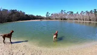 Dogwood Park - off leash dog park Jacksonville, FL