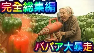 【時間ある人用】【完全総集編②】AIおばあちゃんの大暴走が理解不能すぎた|何してんねんババアシリーズ