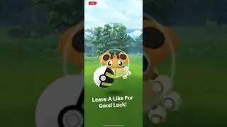 Catching Wild Shiny Ledyba Pok&eacute;mon Go