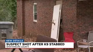Suspect Shot and killed after K9 stabbed in Spartanburg Co.