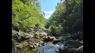 Bottom Creek Gorge - 8-2024