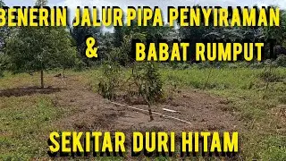 🟡🔴BENERIN JALUR PIPA PENYIRAMAN , PIRINGAN & BABAT RUMPUT SEKITAR DURI HITAM🔴🟡