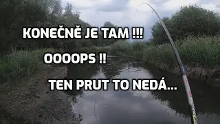 Mega cejn mi zlom&iacute; prut a podběr&aacute;k.Plavan&aacute;.