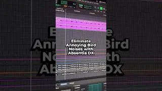 🔇 Quiet those chirpy birds like a pro with Absentia DX! 
