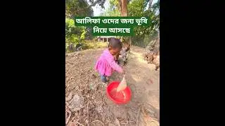 ছাগলের বাচ্চাদের ভূষি খাওয়া। #goat #goatbaby #animals #animalsbaby #whitegoat