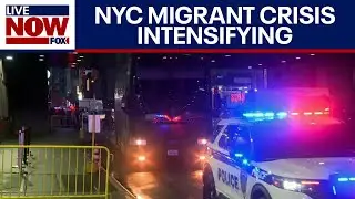 Border Crisis: Housing asylum seekers in NYC becoming a challenge | LiveNOW from FOX