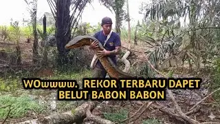 SPESIAL TAHUN BARU NGUKUY BELUT DI RAWA HASILNYA BABON SEMUA#bocilngotektak#ngukuy#belut 