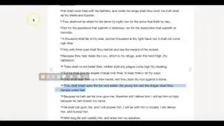 Scriptures Often Ignored   Psalms 91   The Prayer Of Protection