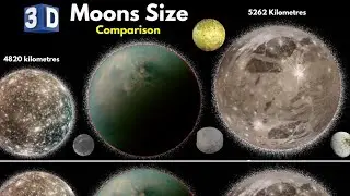 Moons Size Comparison | Solar System Moons Size | DATA BOOK | Comparison in 3D | Moons Size