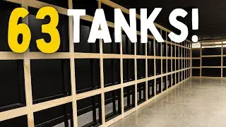 The First Wall Rises! &ndash; Building Our Dream Aquarium Store