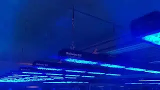 It is a good choice to use the Keloray AJ200L Breeding light in such a big coral farm.