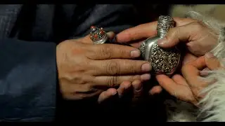 /UW SOYOL/ ӨВ СОЁЛ: MONGOLIAN CAMEL