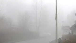 Fog is not good#44