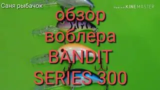 Видеообзор уловистых воблеров Bandit SERIES 300.